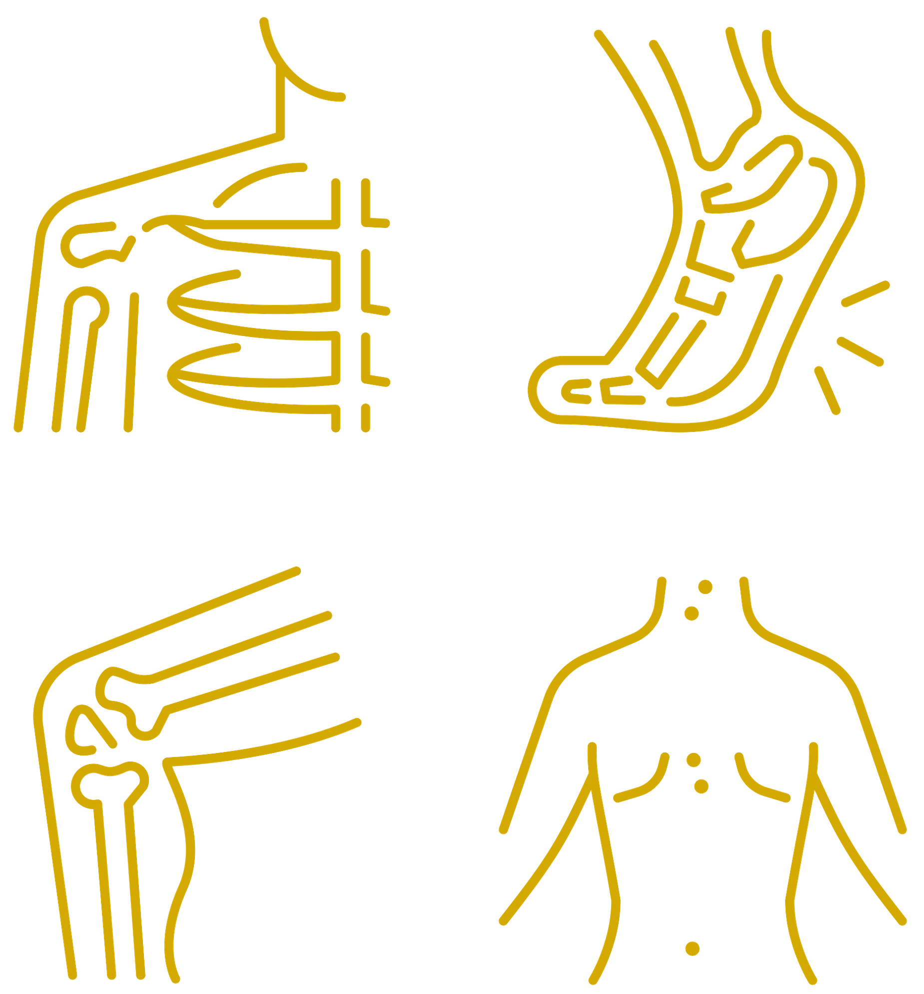 FFM.PHYSIO